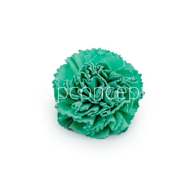 Seafoam Sola Wood Carnation
