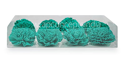 Cyan Sola Wood Carnation