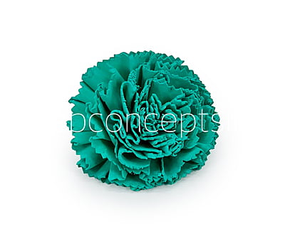 Cyan Sola Wood Carnation