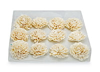 Natural Sola Wood Dahlia