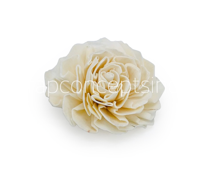 Natural Sola Wood Dahlia
