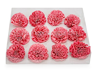 Peachy Pink Sola Wood Carnation