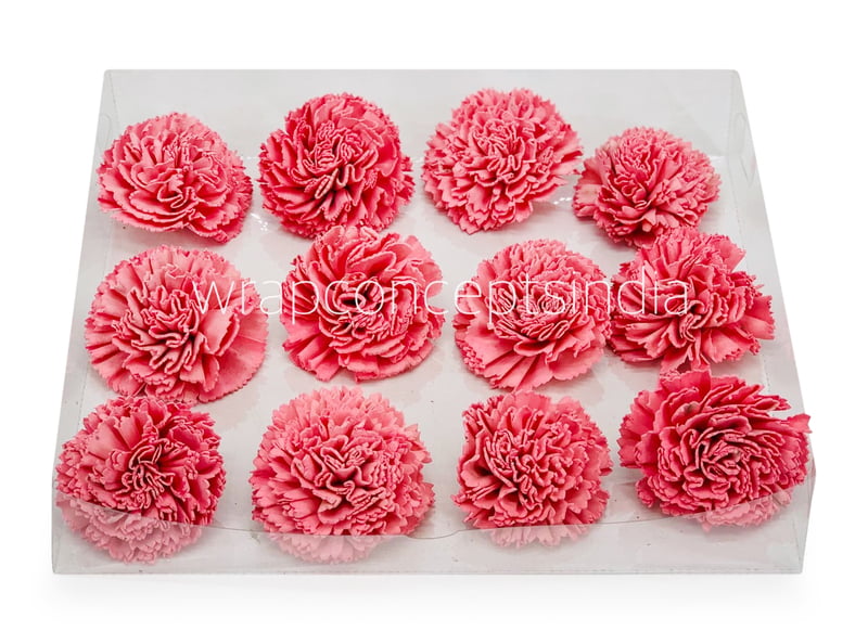 Peachy Pink Sola Wood Carnation