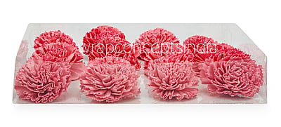 Peachy Pink Sola Wood Carnation