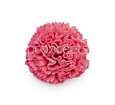 Peachy Pink Sola Wood Carnation