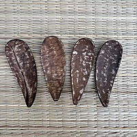 Pickle Spoon