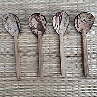 Spoon