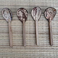 Spoon