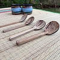 Spoon