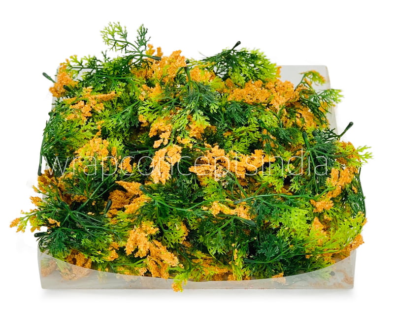 Green Fern Leaves with Papaya Edges