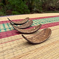 Pickle Spoon