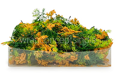 Green Fern Leaves with Papaya Edges Green Fern Leaves with Papaya Edges