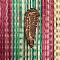 Pickle Spoon