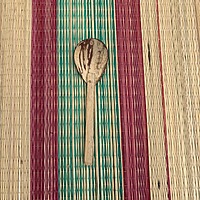 Spoon