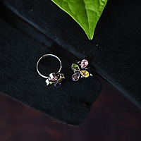 KASUMALLAI LONG HARAM IN LAKSHMI DOLLAR