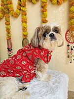 Red Royale Sherwani