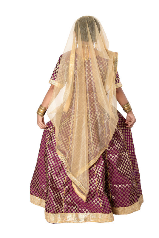 Classical Dance Kathak Costume For Girls