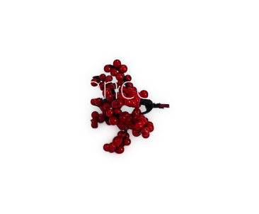 Red Fern