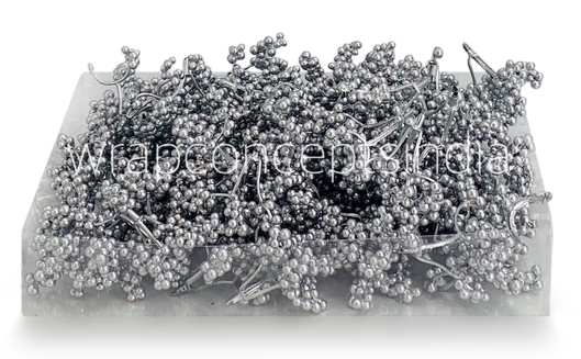Silver Fern