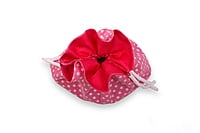 POTLI BAGS SET OF 20