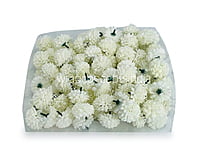 Small Carnation - Ivory