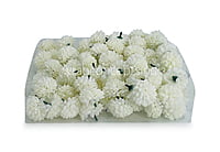 Small Carnation - Ivory