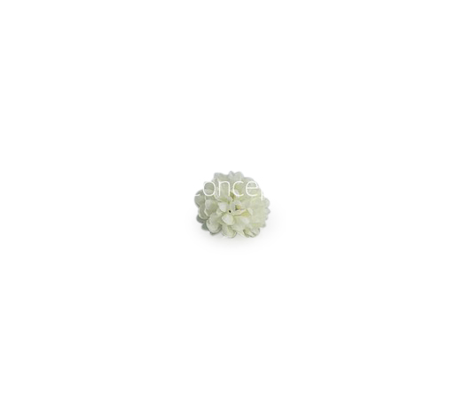 Small Carnation - Ivory