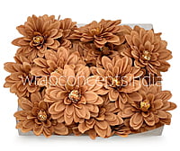 Cherry Wood Dahlias