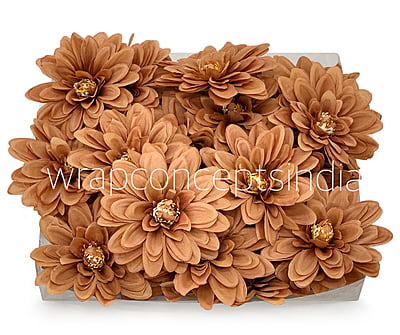 Cherry Wood Dahlias