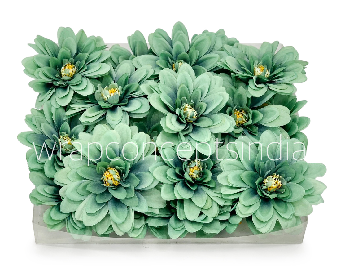 Sea Foam Dahlias