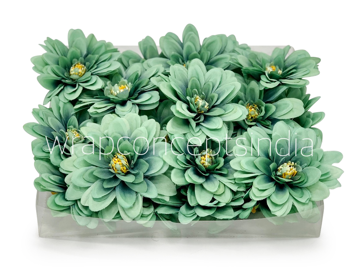 Sea Foam Dahlias