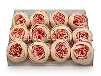 Peony - Cream with Peachy Pink