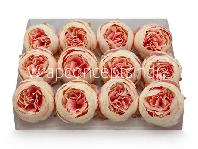 Peony - Cream with Peachy Pink