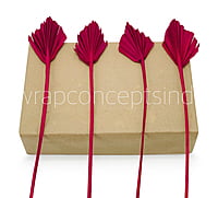 Fuchsia Pink Palm Spear - Big/Small