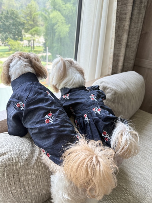 Embroidered Flower Denim Frock