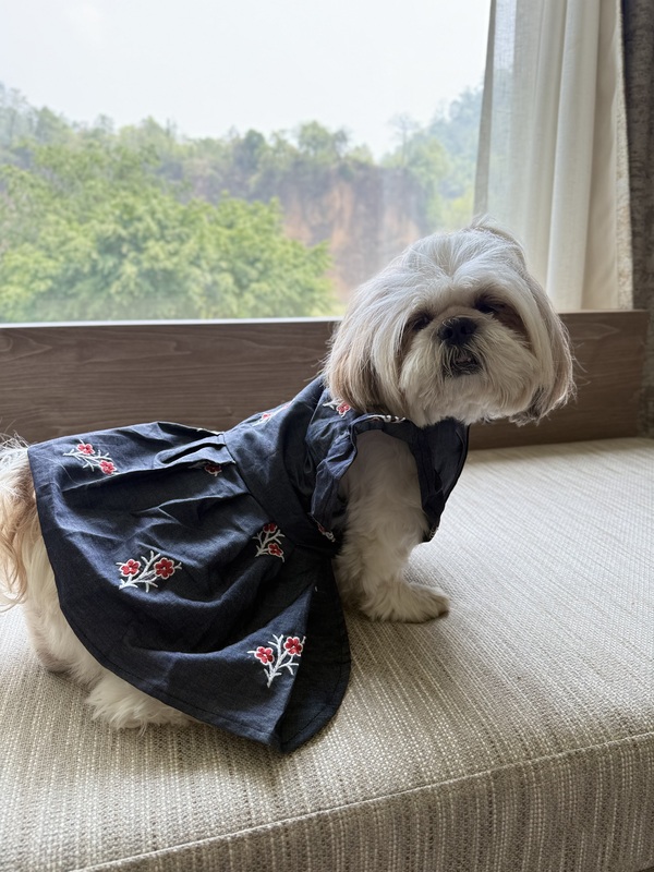Embroidered Flower Denim Frock