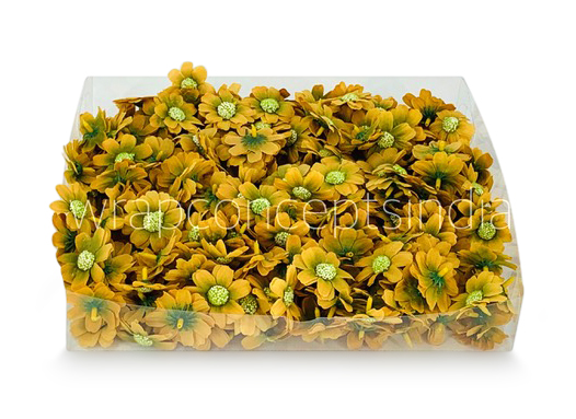 Olive Cosmos Flower