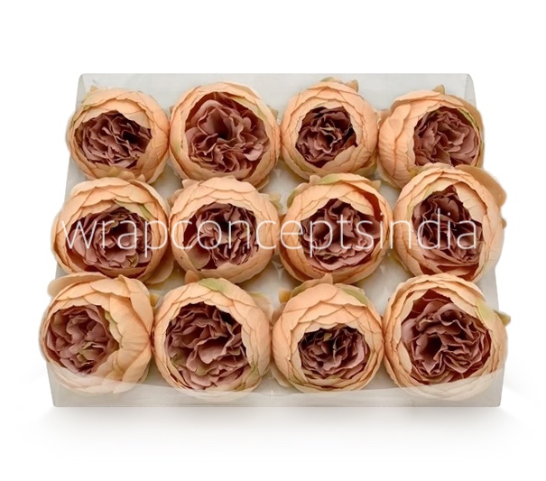 Peony- Melon with Apricot Peony- Melon with Apricot