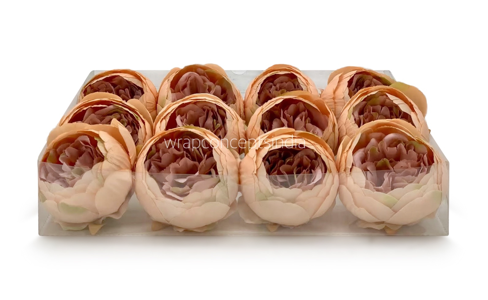 Peony- Melon with Apricot