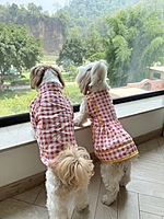 Daisy Picnic Dog Shirt