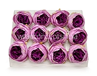 Peony - Orchid with Violet