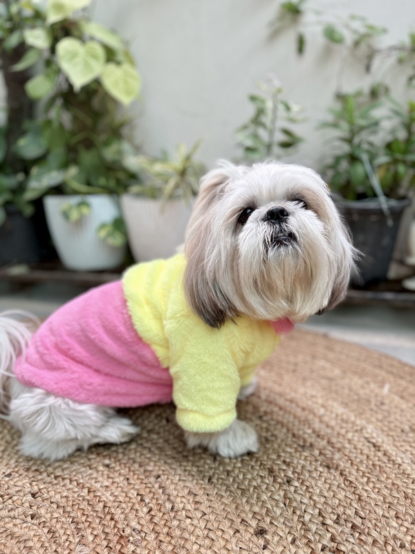 Pink Yellow Fur Coat