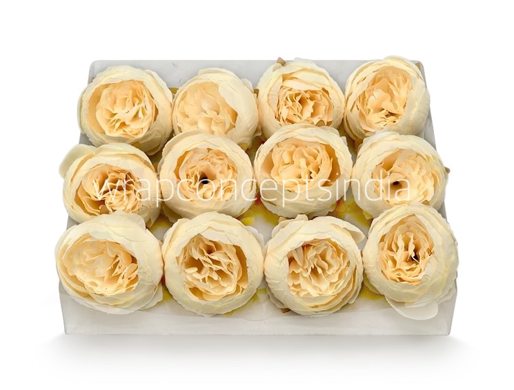 Peony - Cream Yellow