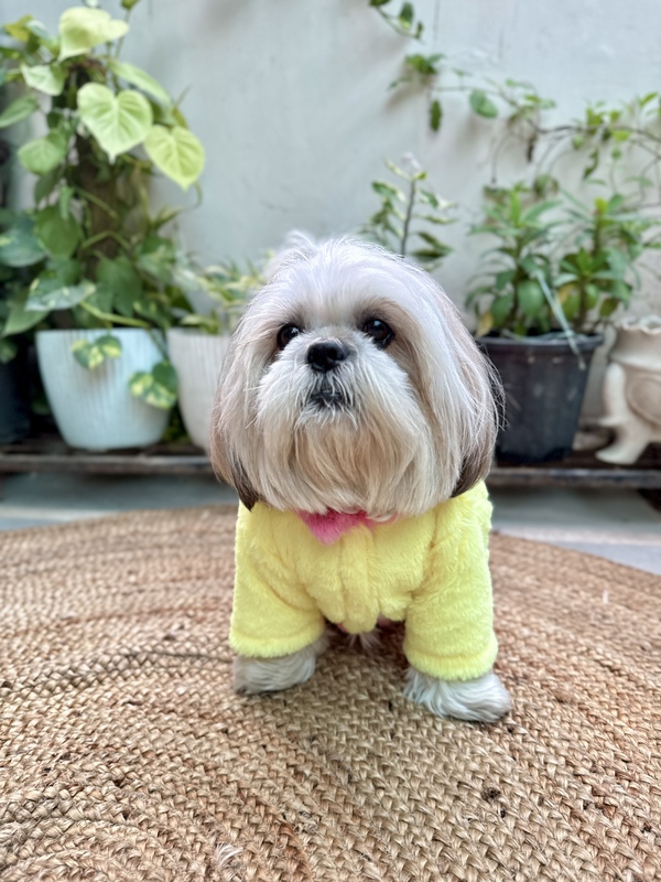 Pink Yellow Fur Coat