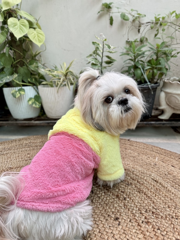 Pink Yellow Fur Coat