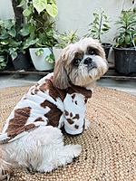 Cow Print Hoodie