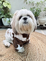 Cow Print Hoodie
