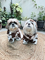 Cow Print Hoodie