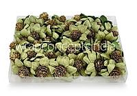 Flowers on stick with gold glitter pine -Soft Green