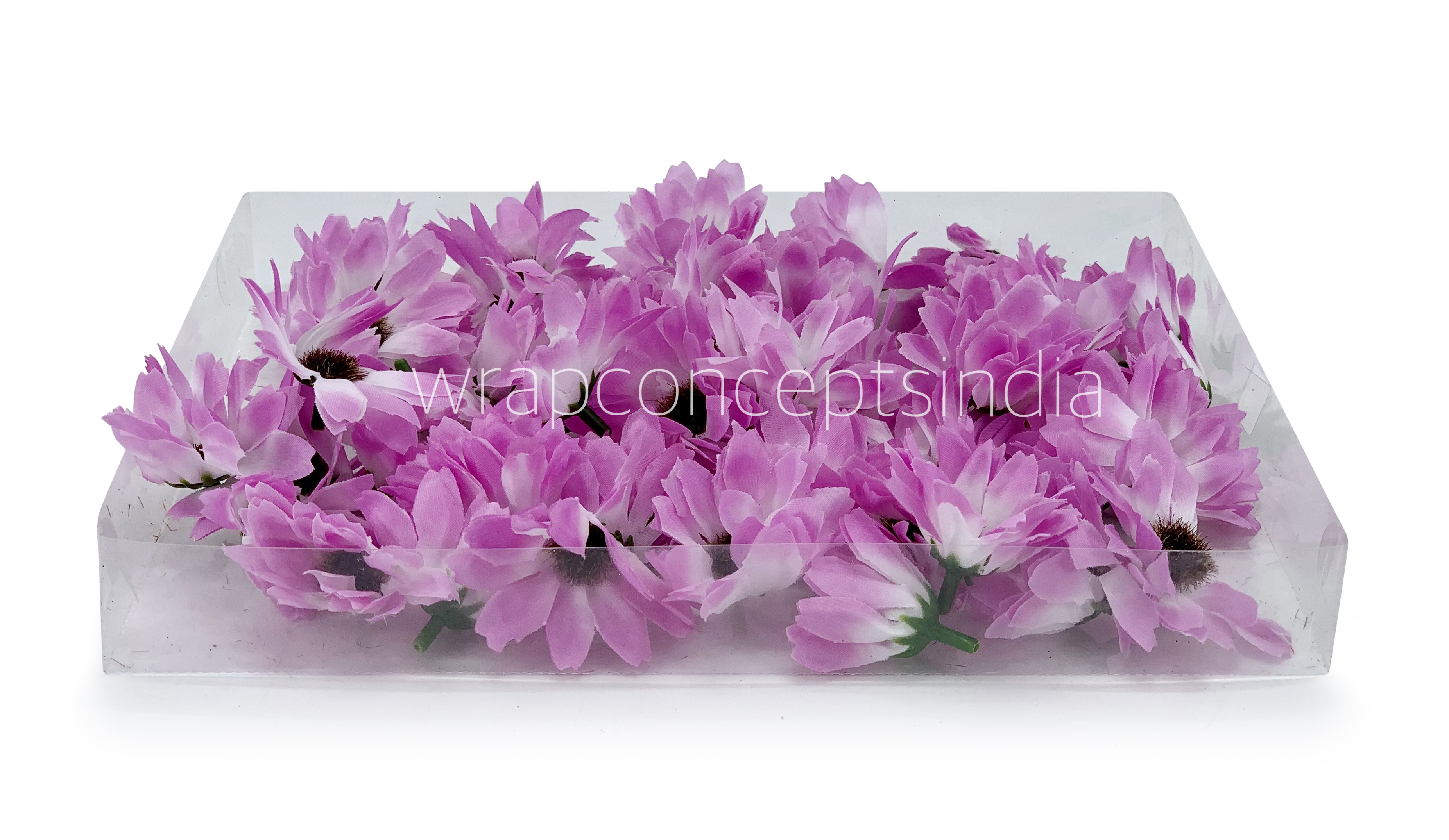 Sun Flowers - Violet With White